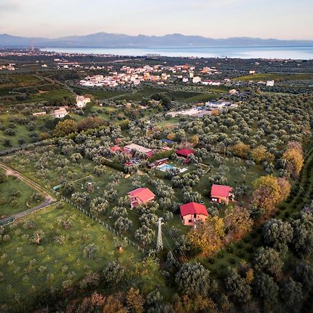 La Piana Degli Ulivi Panzió Rossano Kültér fotó