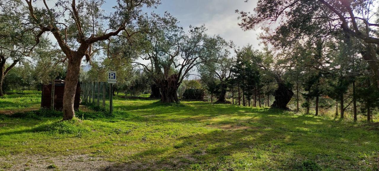 La Piana Degli Ulivi Panzió Rossano Kültér fotó